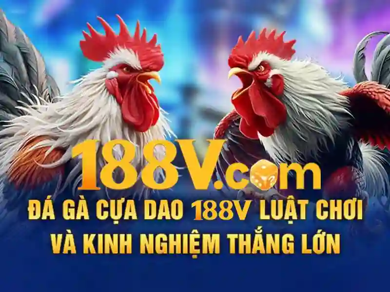 188v mê – Khám phá nền tảng, trải nghiệm và đánh giá Giao diện nhà cái hoàn hảo