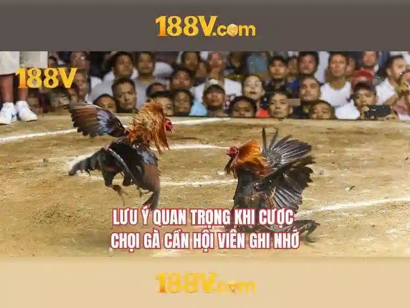 Khám phá 188V: một khái niệm và ứng dụng tiềm năng