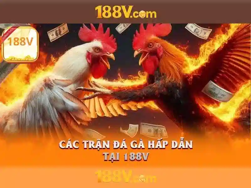 Giao diện nhà cái hoàn hảo