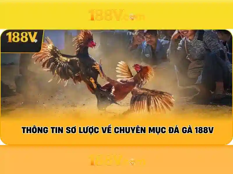 Sản phẩm và dịch vụ chính: ứng dụng thực tế của 188v vom