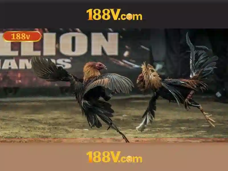 188V: Khái niệm, ứng dụng và an toàn Giao diện nhà cái hoàn hảo