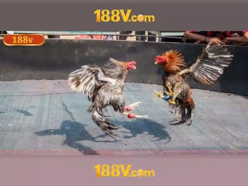 Ứng dụng trong nghệ thuật và giáo dục