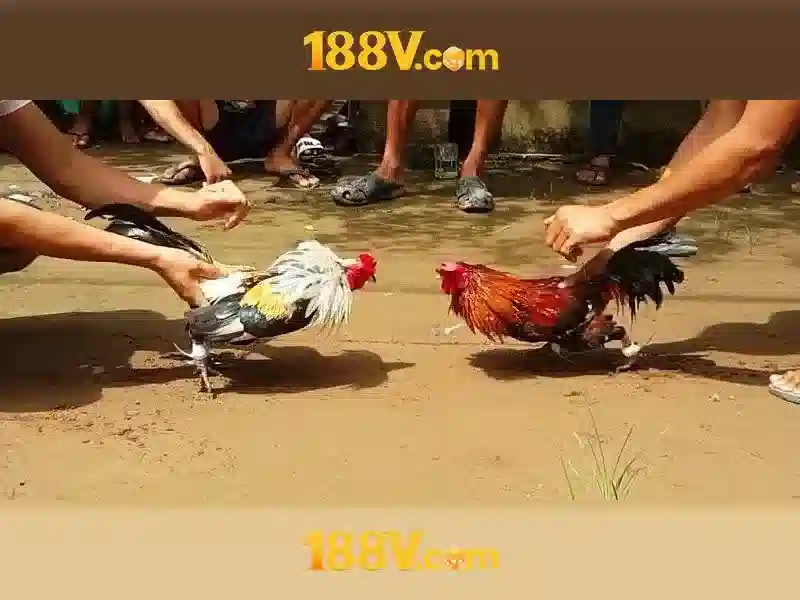 188v: một khái niệm mở và hành trình khám phá