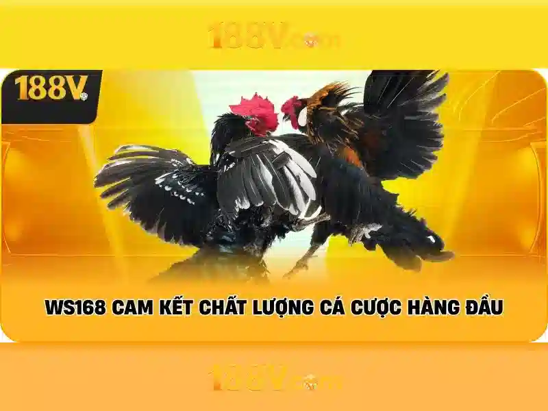 Giao diện nhà cái hoàn hảo