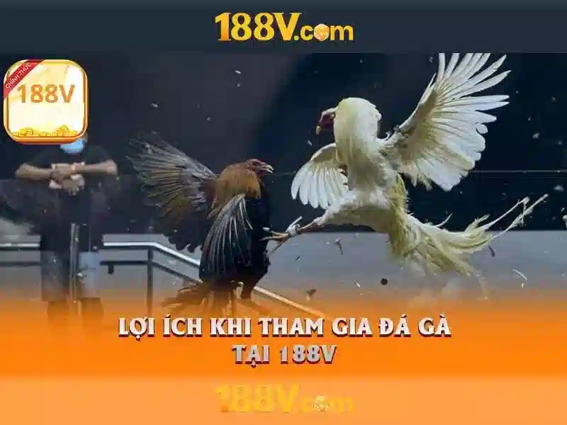 Hiệu suất và đo lường