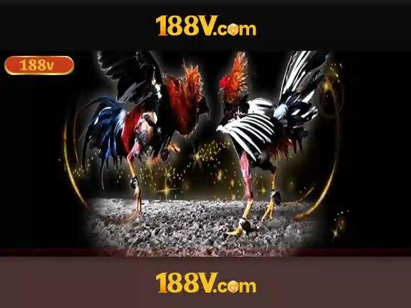 188v: khái niệm và ảnh hưởng trong thế giới số