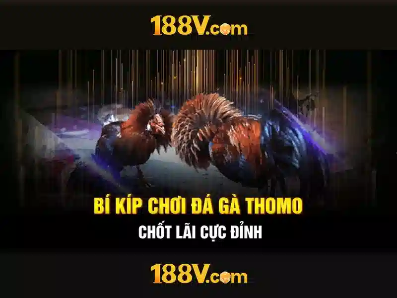 Khám phá chi tiết về 188v