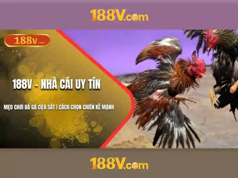 Phong cách thị giác của 188v