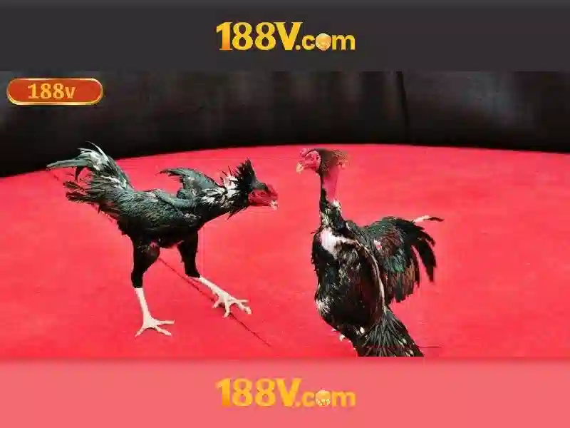 An toàn khi làm việc với điện áp cao