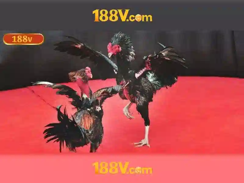 Giới thiệu về 188V
