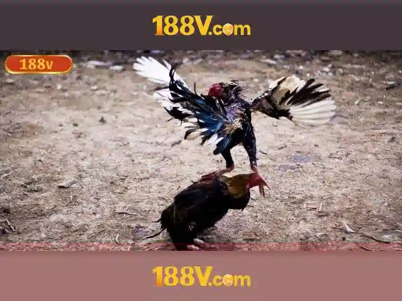 Nguồn gốc và sứ mệnh của app 188v