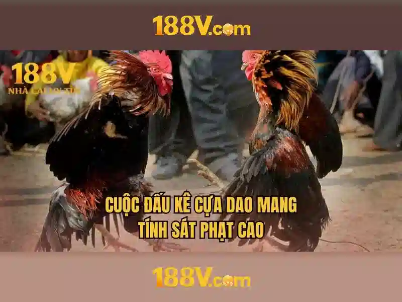 Nguồn gốc và ý nghĩa của 188v
