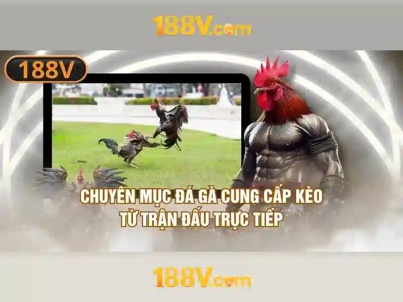 Nguồn gốc và sứ mệnh của 188v mê