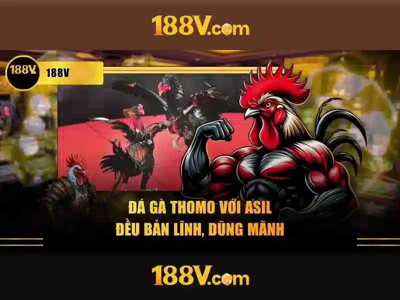 Khám phá 188v: một khái niệm nghệ thuật và công nghệ