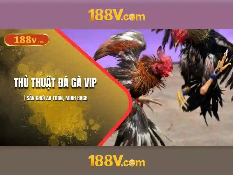 188v và hành trình khám phá mã nguồn sáng tạo