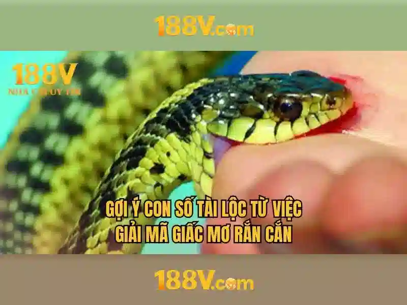 app 188v – Tổng quan chủ đề và giá trị cốt lõi