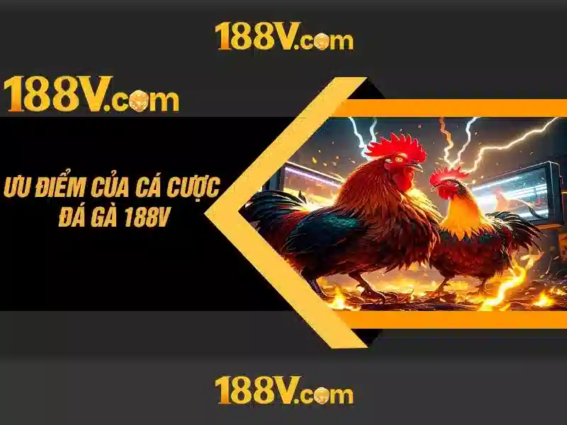 Tương lai của 188v và tiềm năng