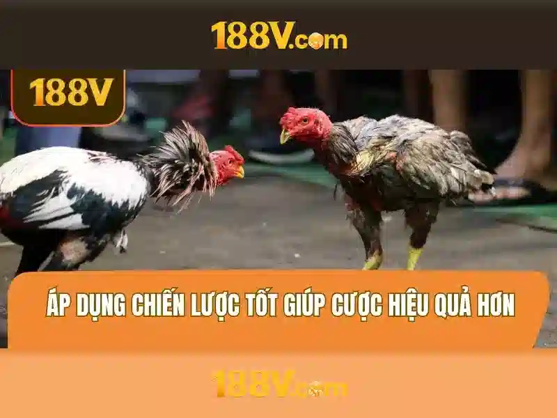 Kết luận