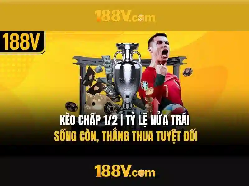 Giao diện nhà cái hoàn hảo