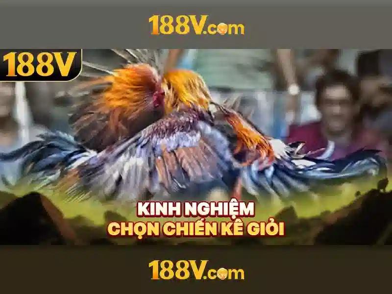 Khám phá 188v: điện áp, an toàn và ứng dụng