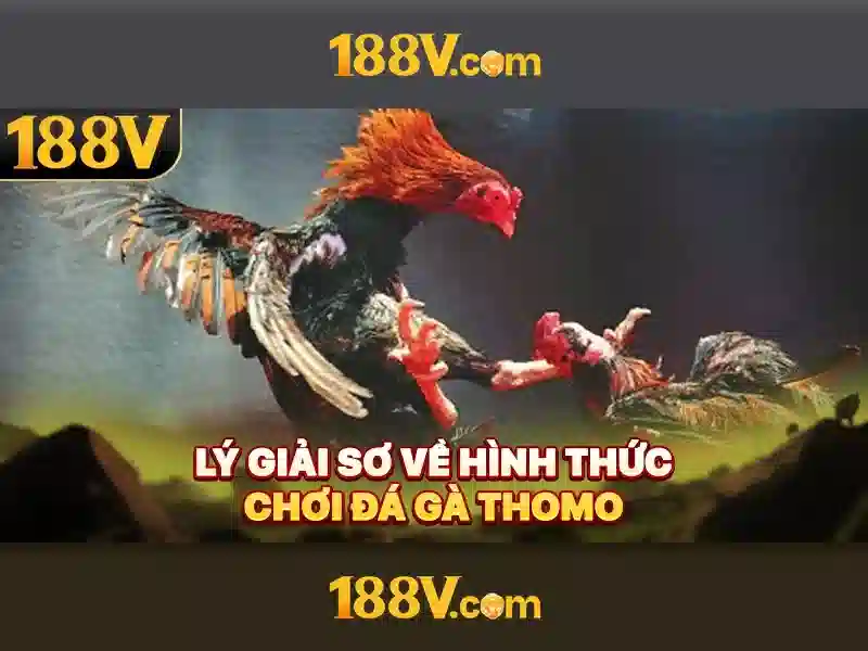 Giao diện nhà cái hoàn hảo