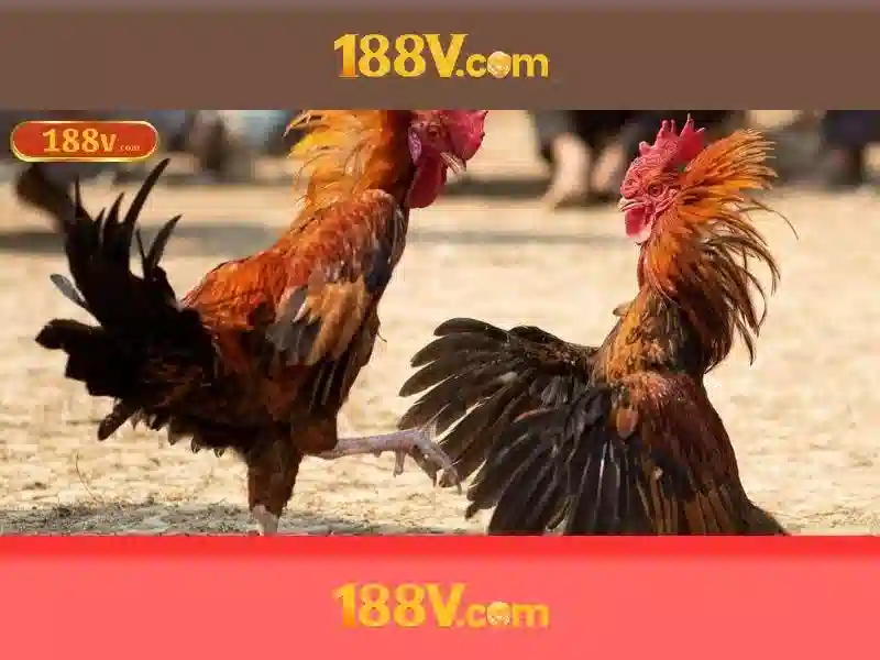 Nguồn gốc và ý nghĩa của 188V\n
