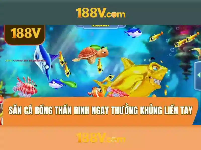 188v: một hành trình sáng tạo giữa điện và âm nhạc