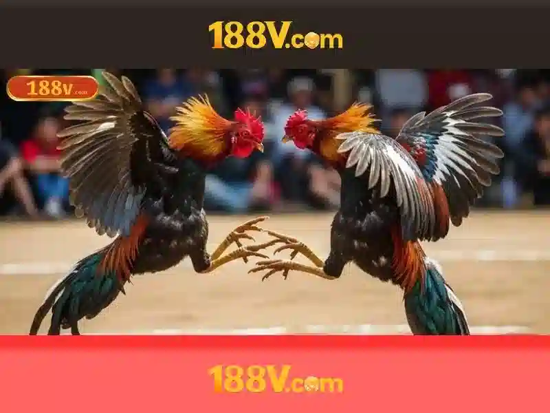 Ví dụ thực tế về 188v trong đời sống