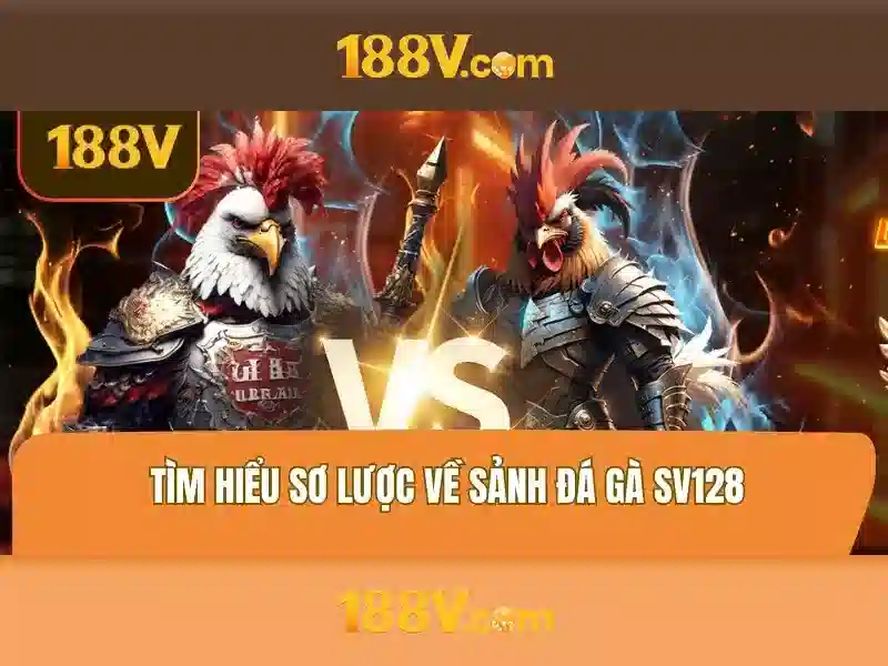 Khía cạnh văn hóa và thói quen sử dụng 188v\n\n