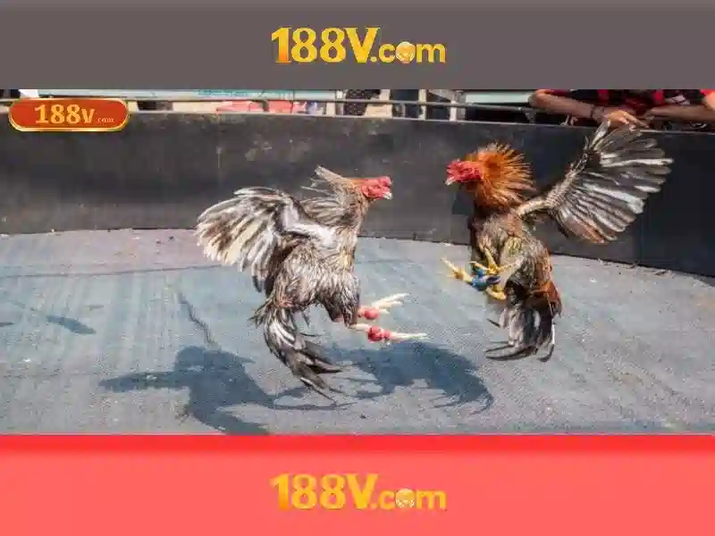 188v là gì và ảnh hưởng của nó trong thế giới số
