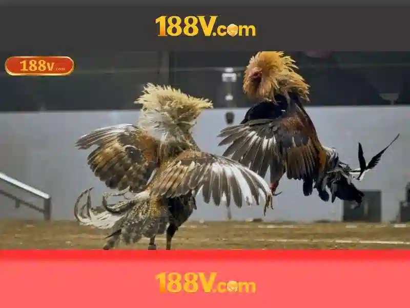188v trong nghệ thuật số