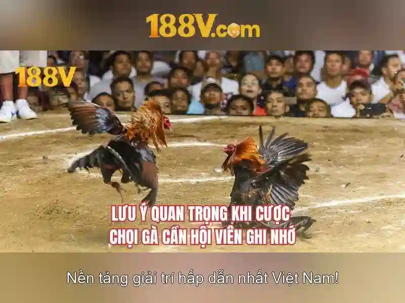 188v: một khái niệm thời gian và không gian