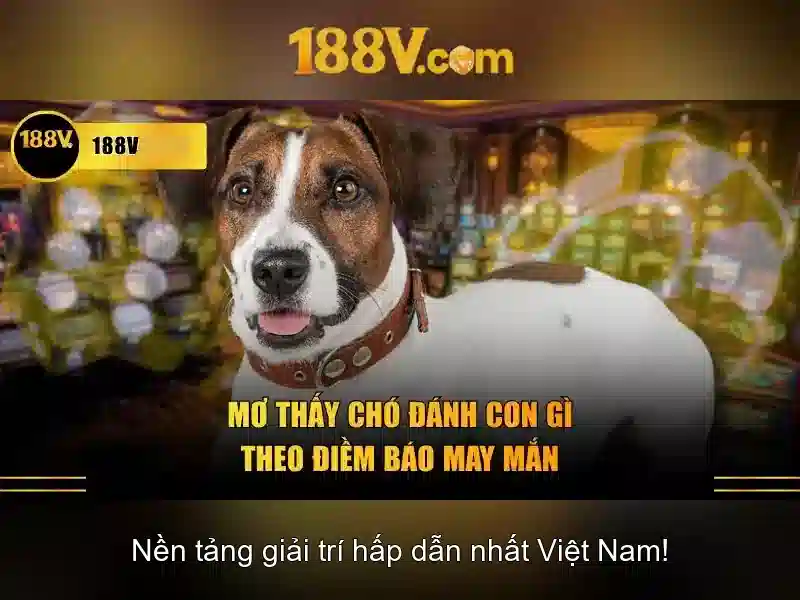 188v: ký hiệu huyền bí của thế giới số