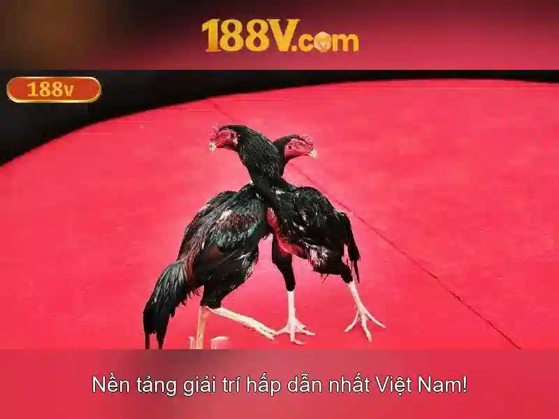 Chất lượng, an toàn và bền vững của 188v\n