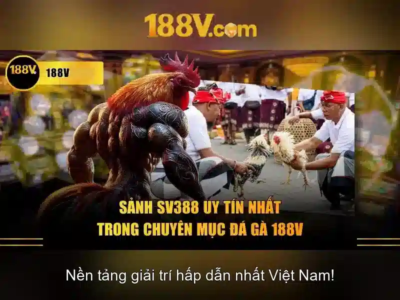 Khám phá lịch sử 188v