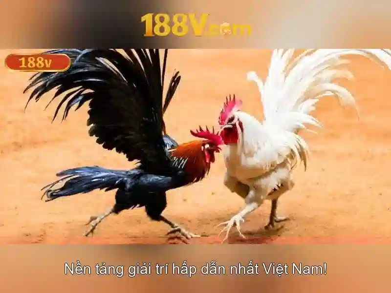 188v: Khái niệm và ứng dụng trong nghệ thuật số