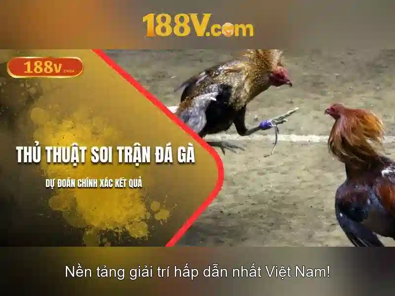 Trải nghiệm người xem và người nghe