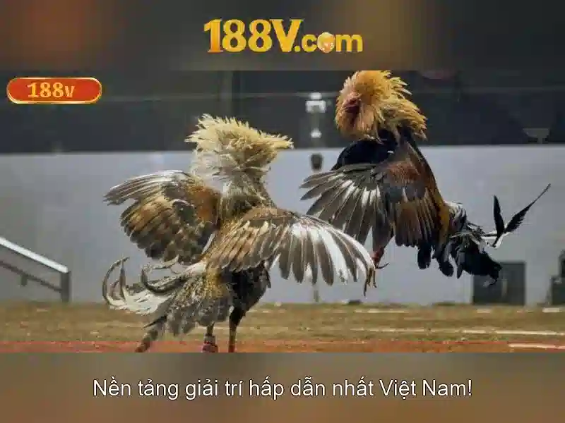 188v là một khái niệm hiện đại
