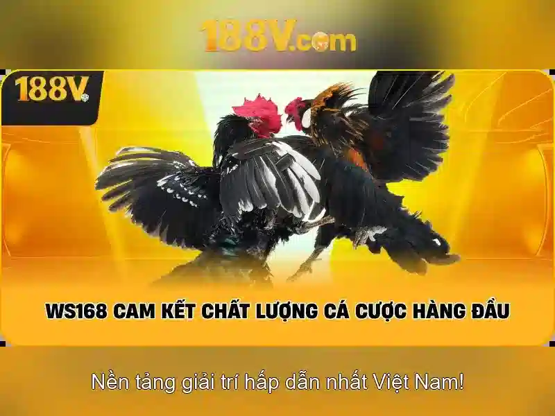 Khía cạnh triết học