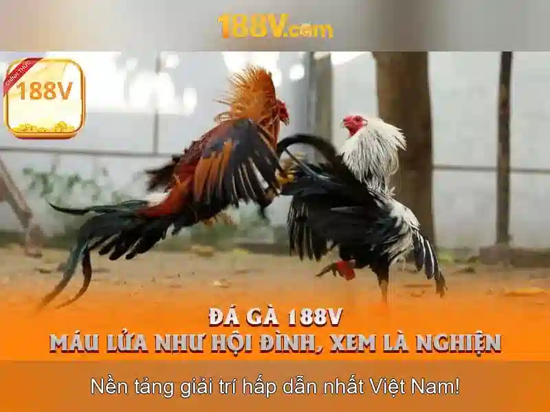 Giao diện nhà cái hoàn hảo
