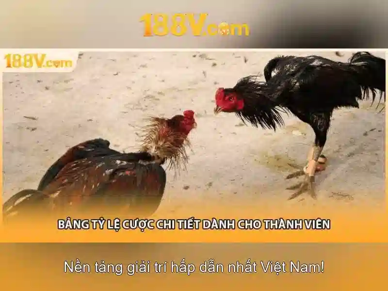188v là gì?\n