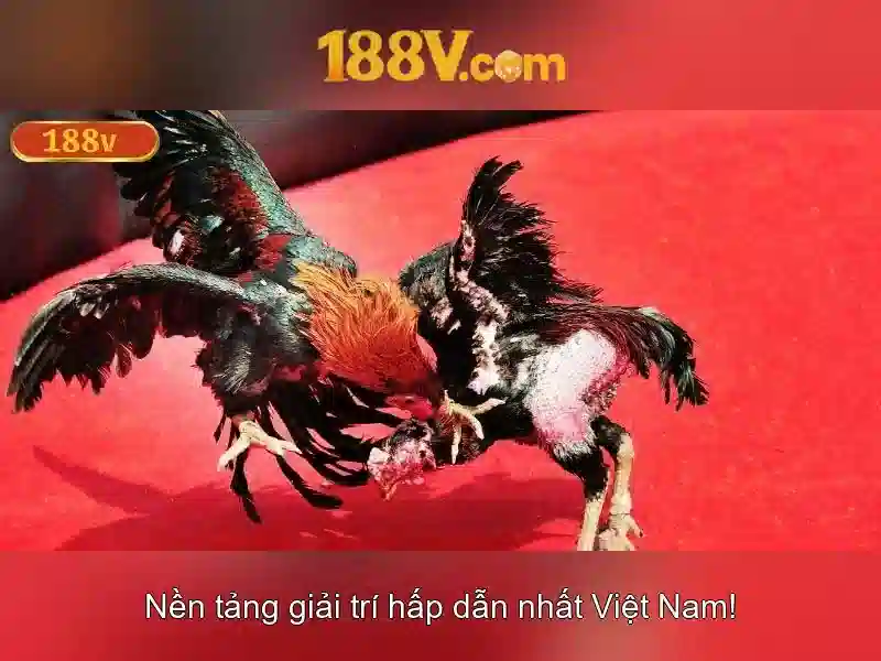 Nguồn gốc của 188v
