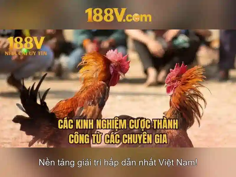 Ứng dụng của 188V trong dự án điện