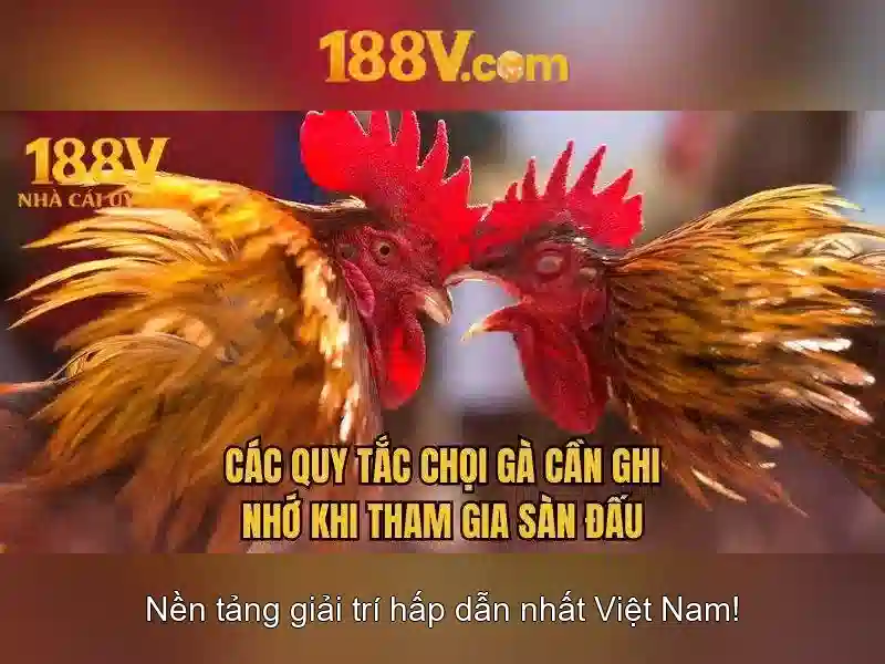Giao diện nhà cái hoàn hảo