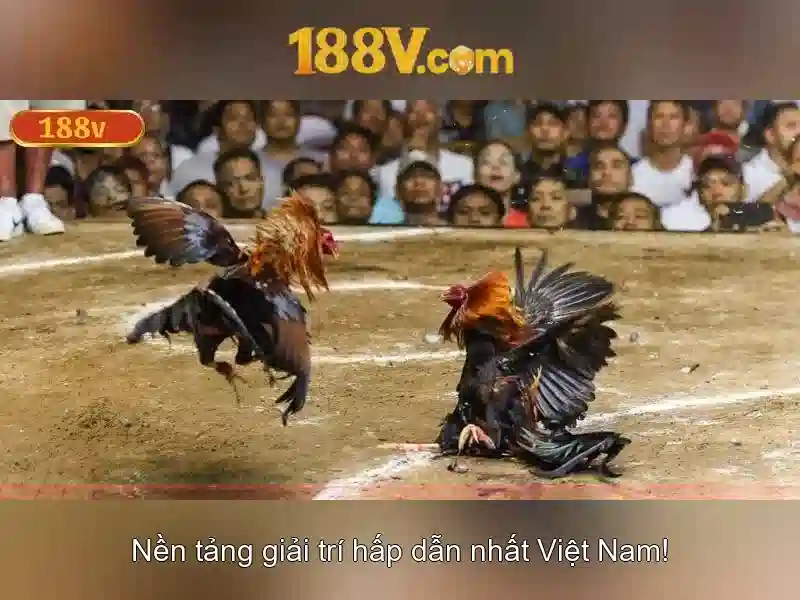 188v: một khái niệm công nghệ và cộng đồng sáng tạo
