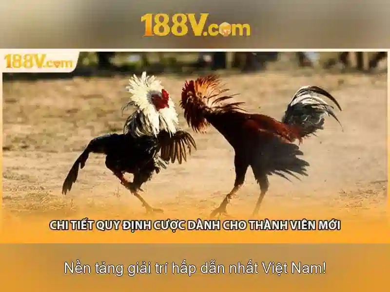 Khám phá 188v là gì?