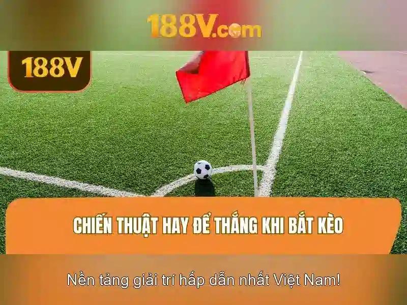 Trải nghiệm người dùng và phản hồi cộng đồng