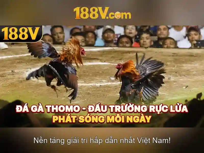 188V và thế giới điện áp cao