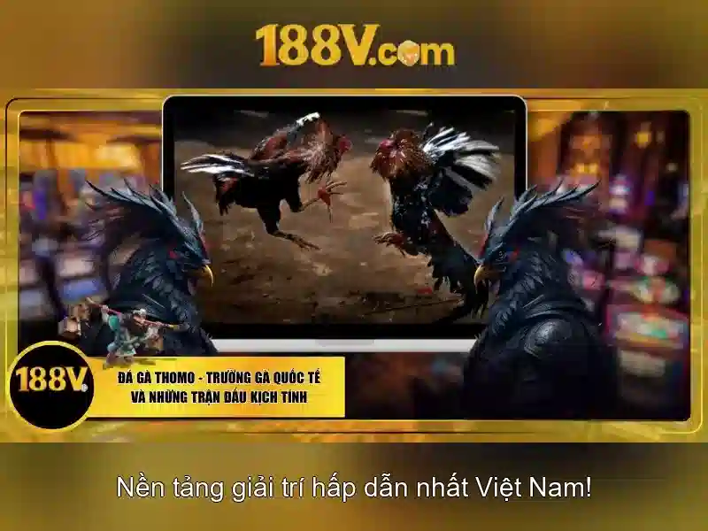 Âm thanh số và vật liệu mở ra thế giới tương tác