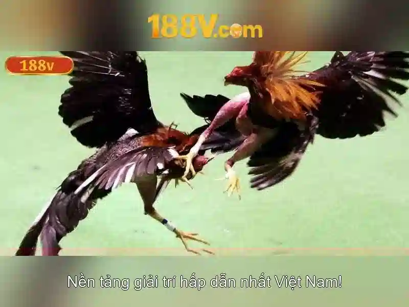 Giao diện nhà cái hoàn hảo